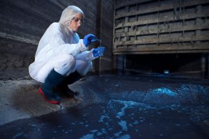 Soil Testing in Environmental Protection