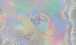 Responding to Diesel Spills: Immediate Actions You Need to Take