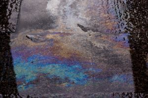 pexels victormoragriega 30117407 300x200 1